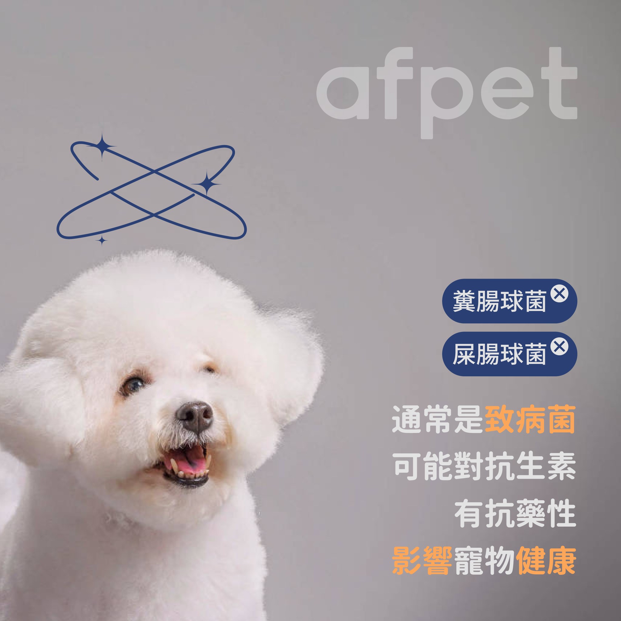 艾芙樂 afpet TW - 益生菌裡不該有的兩種腸球菌!? #糞腸球菌 #屎腸球菌... | Facebook