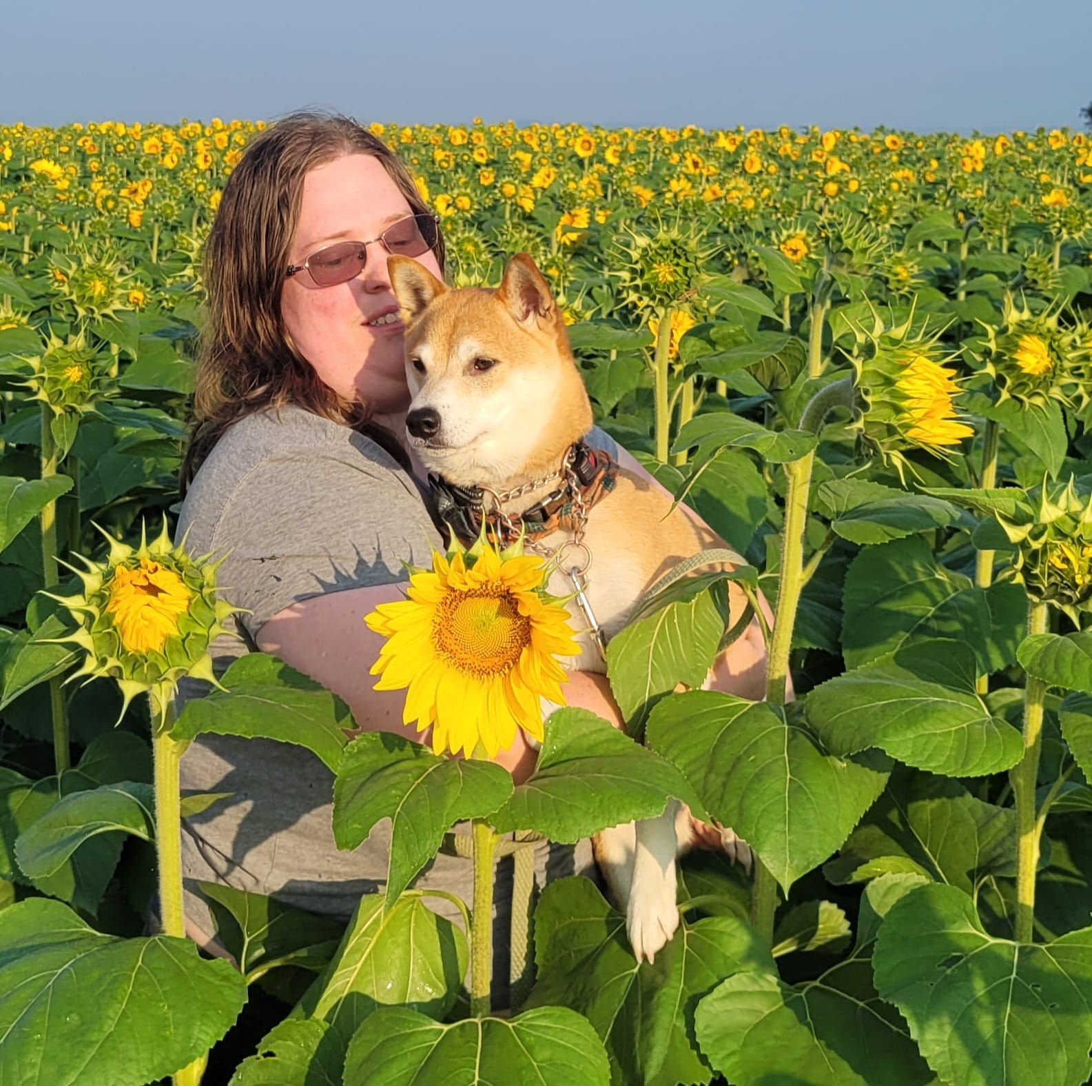 Boys take pictures with sunflowers