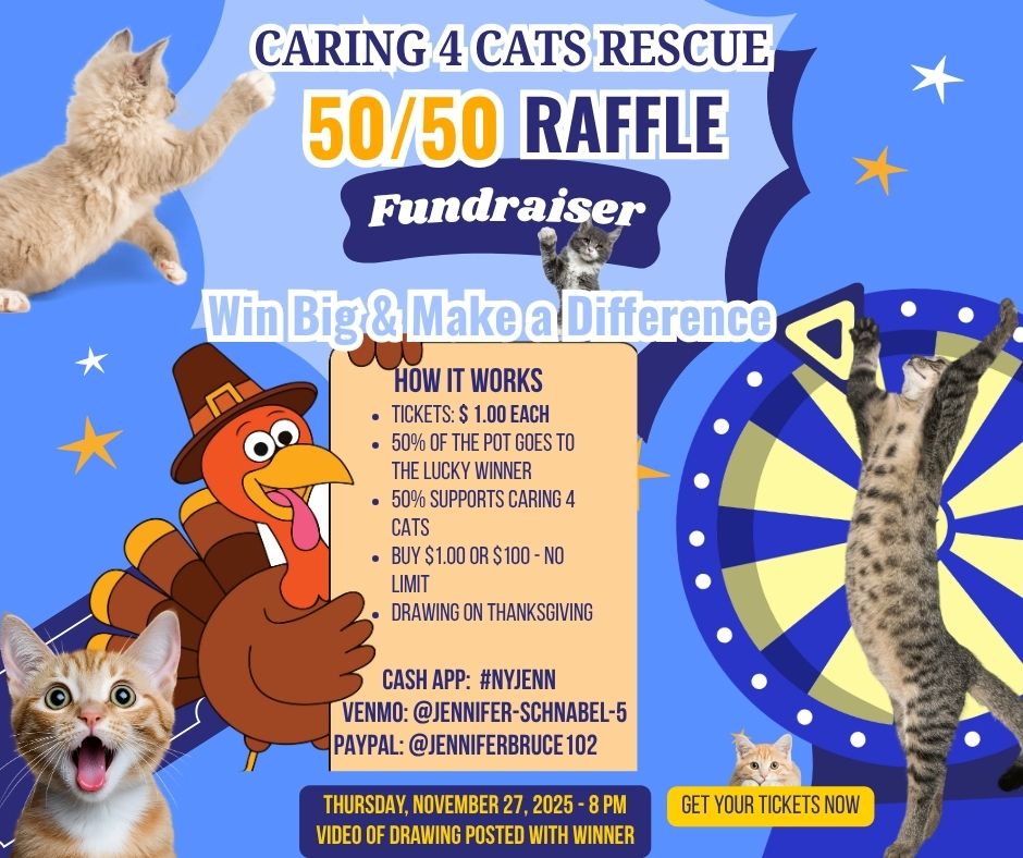 Caring4Cats - HEY EVERYONE, we are doing a 50/50 raffle for Caring 4 ...
