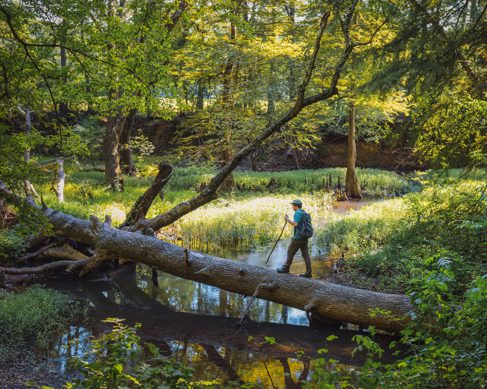 Ocala Photography Group - Photo of the Day Photo Credit: Lucy Biagiotti ...