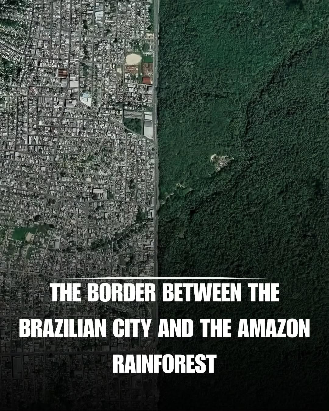 Architecture - In Manaus, Brazil, the city comes to a sharp end against ...