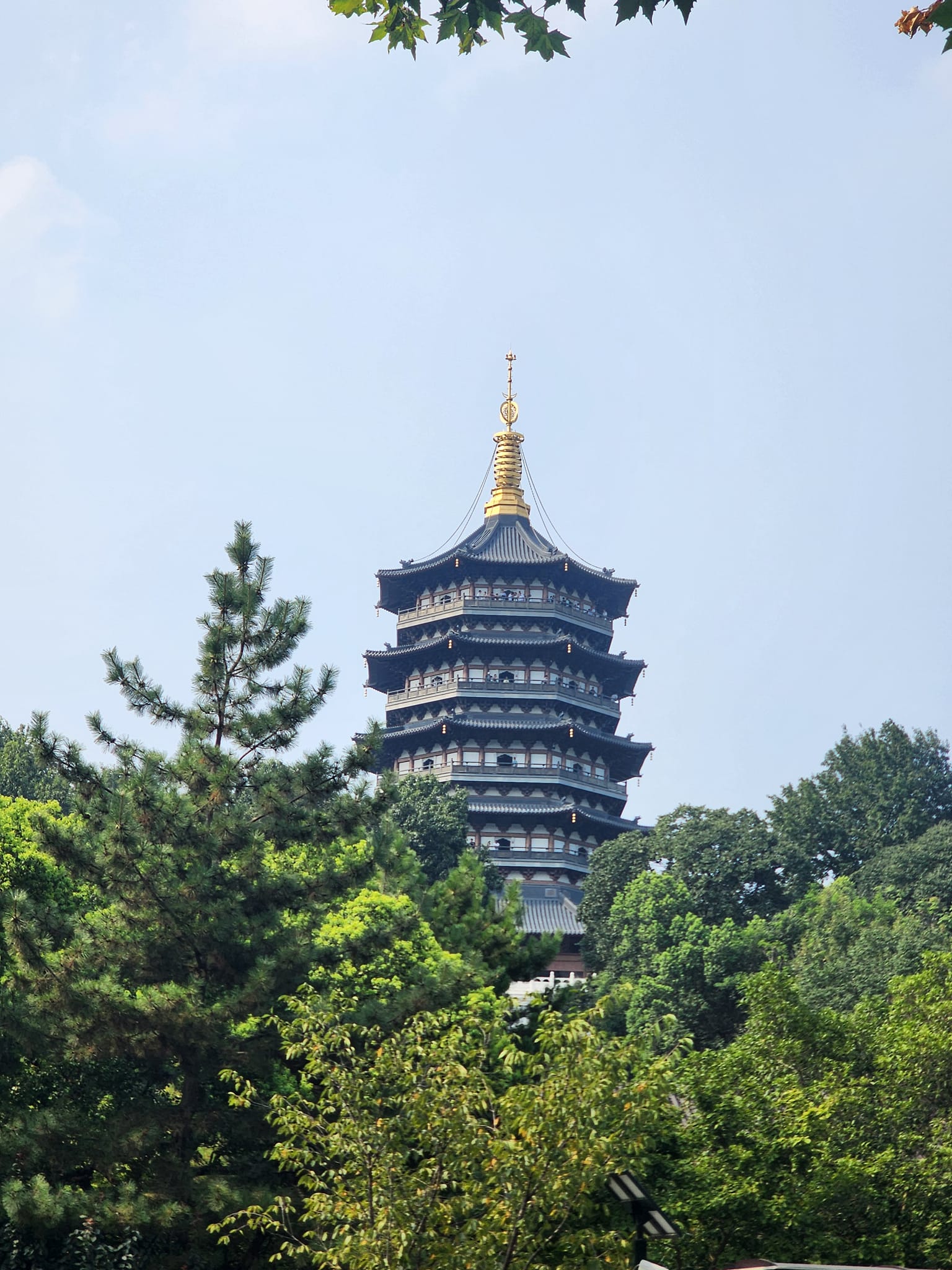 梁若羚