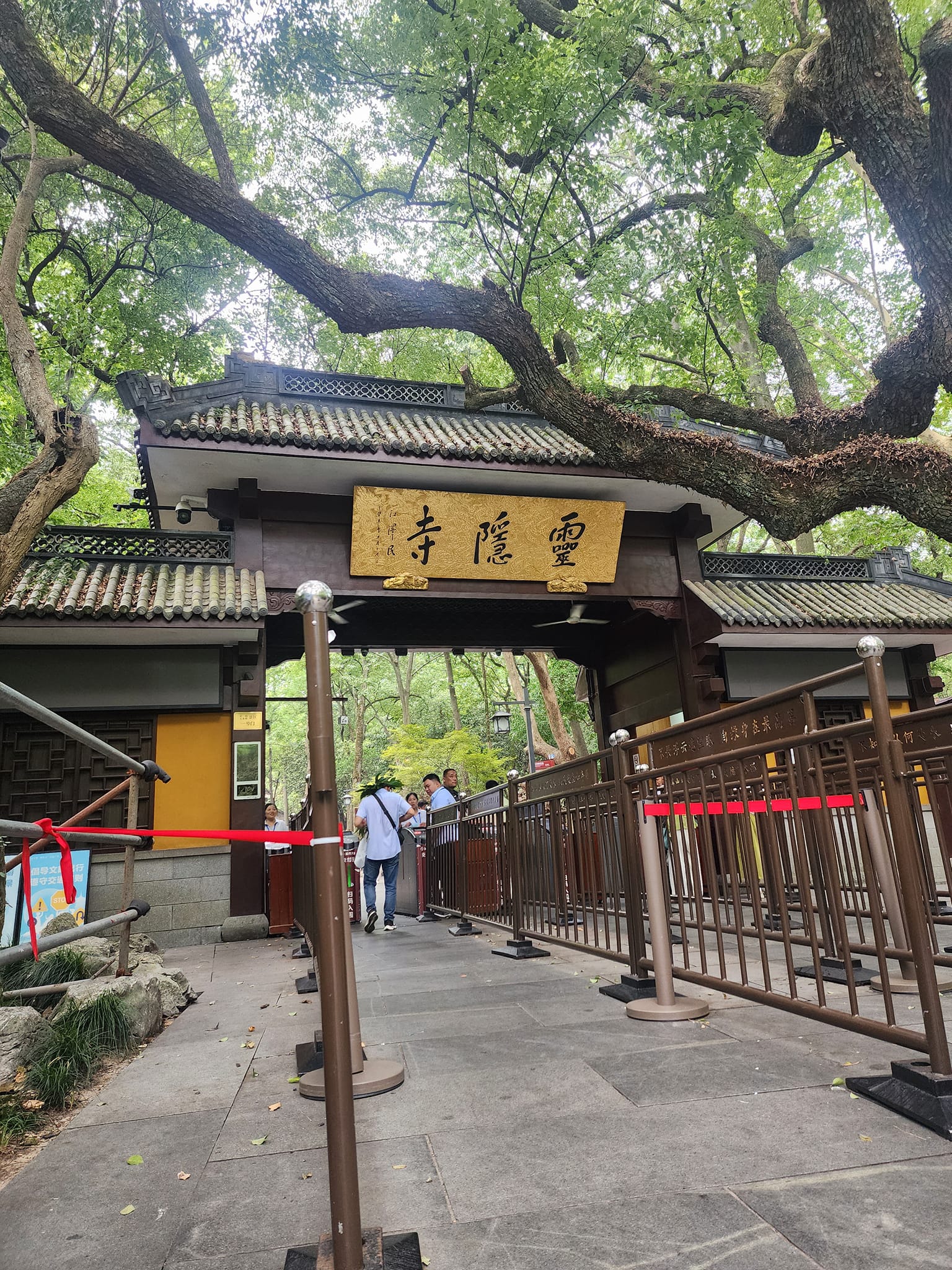 梁若羚