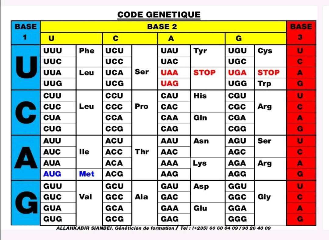 Allahkabir - 💟 CODE GÉNÉTIQUE 💟 👇👇👇 | Facebook