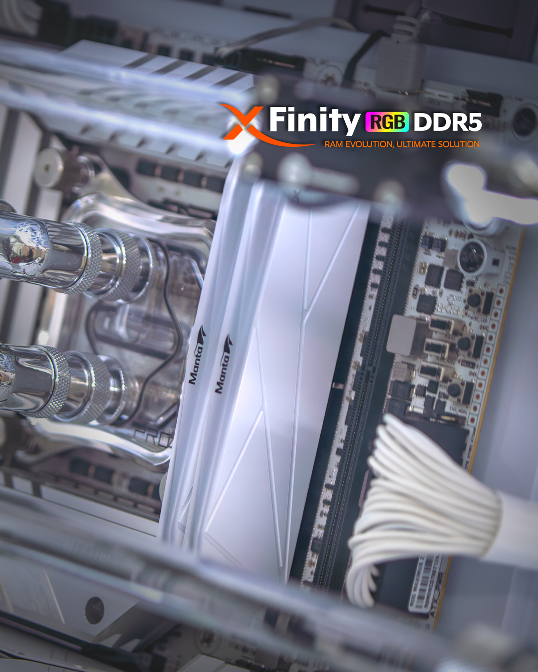 Looking for the best-looking RAM for your gaming PC? Our Manta