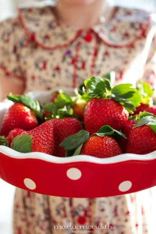 Strawberry Swing | Rome