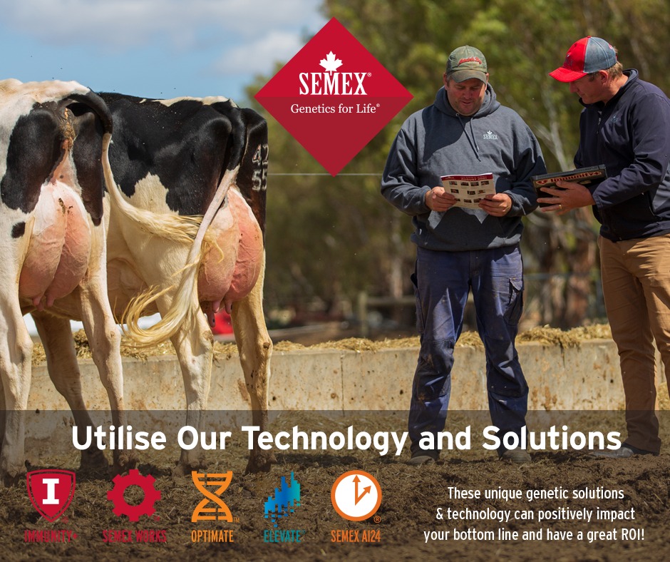 Semex delivers comprehensive... - Semex South Africa | Facebook