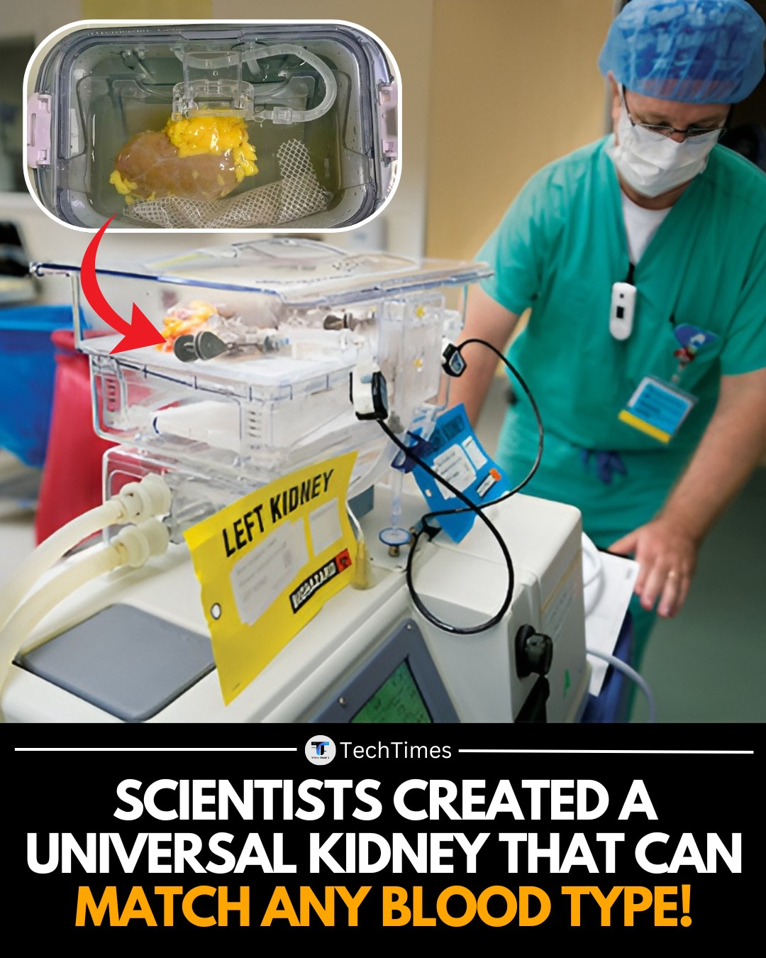 TechTimes - In a breakthrough that could revolutionize organ ...