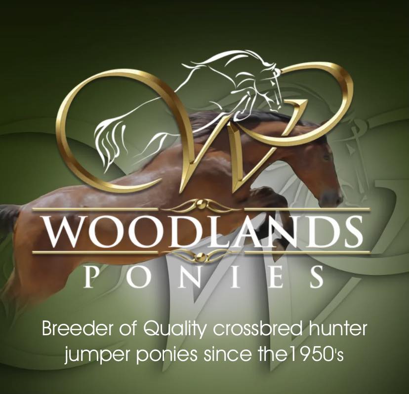 Thank you Stephanie Sakata for the... - Orchard Hill Ponies | Facebook