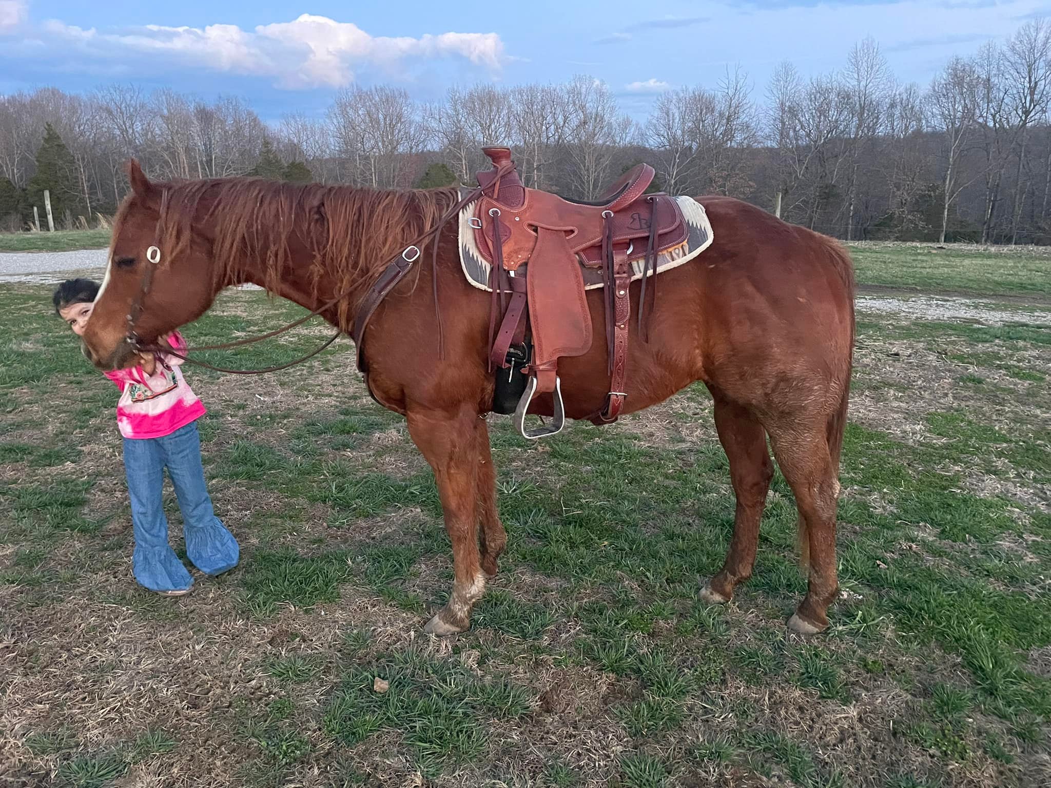 Red Ridge Farm