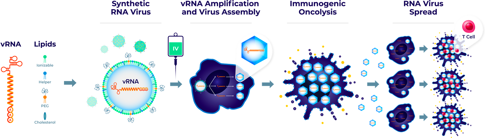 GenScript - Scientists from Oncorus develop Synthetic RNA...