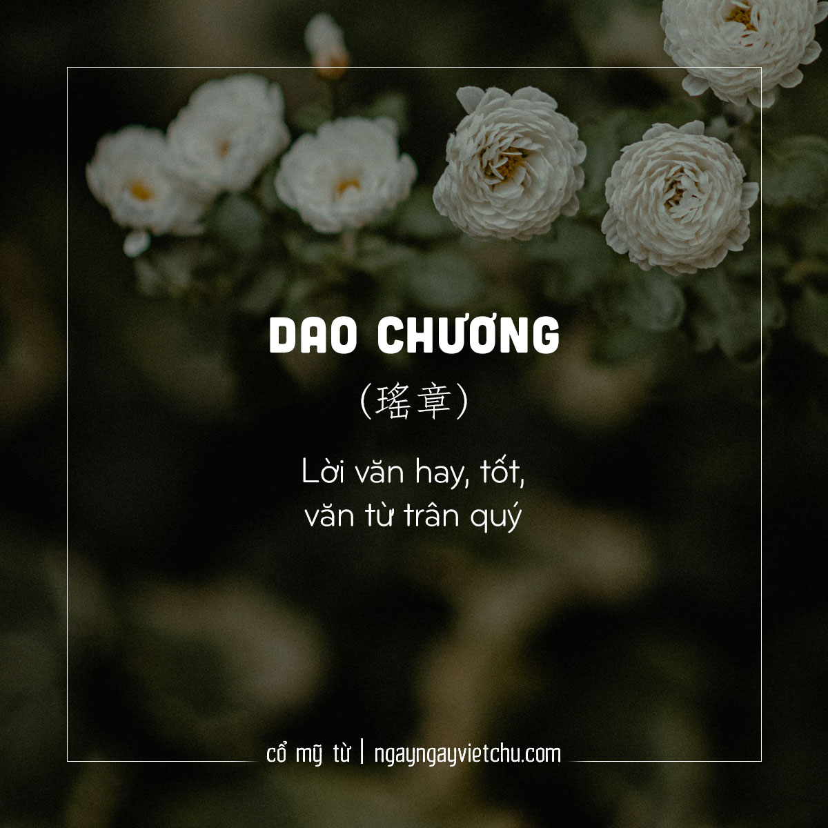 Ngày - ★ Dao chương ★ Trong bài viết về các chữ 