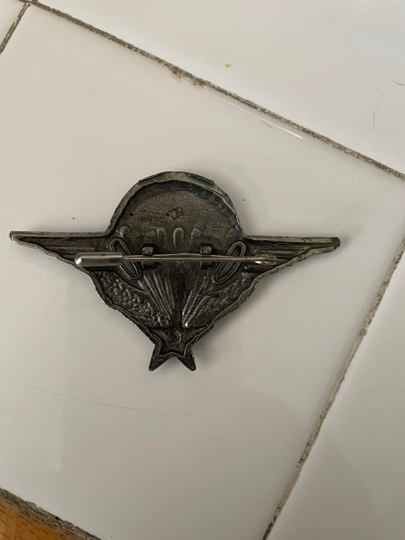 What are these French jump wings?