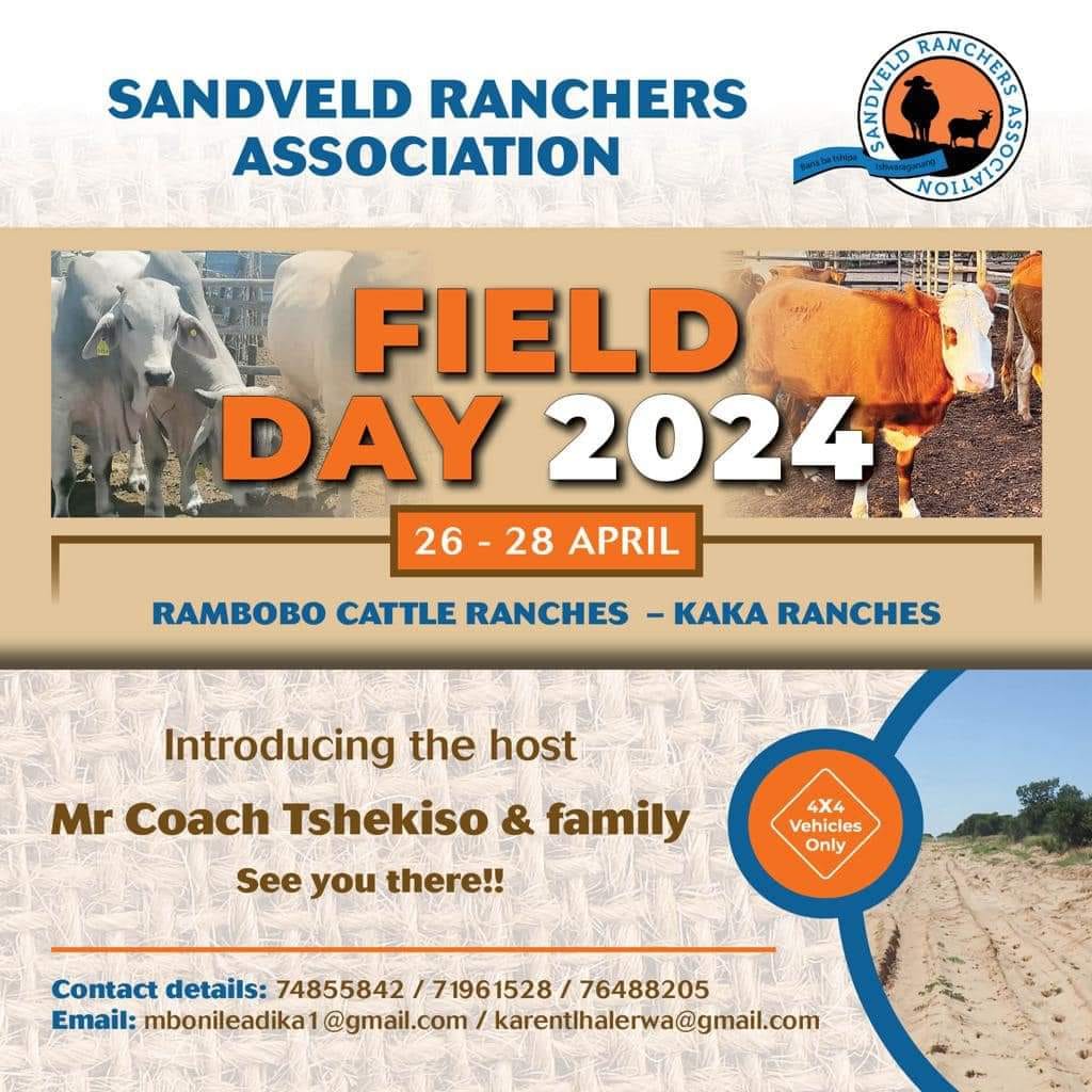 The team is ready to paint... - Landcruiser Club Botswana