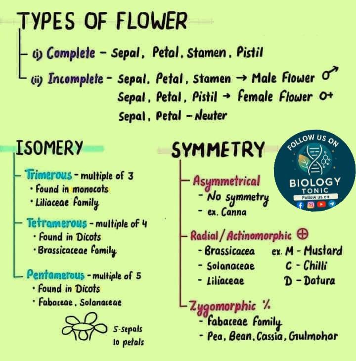 Biology Tonic - Biology Tonic added a new photo.