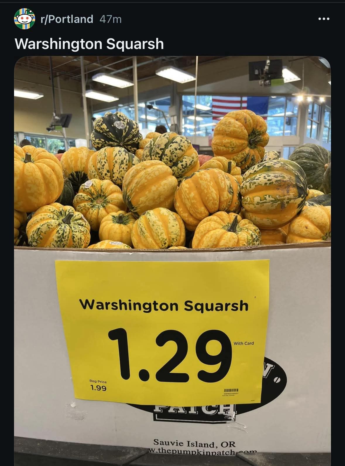 The Pumpkin Patch,... - The Pumpkin Patch, Sauvie Island