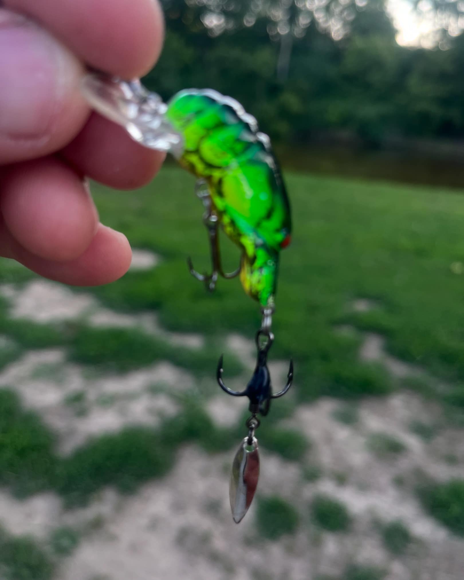 eel river fishing lures Savage Gear Real Pre-Rigged Bait, 1 1/3 oz, Black Green Pearl, Realistic Contours & Movement, Durable Construction, Dual Hook Configuration, Available in 3 Sizes (8"-16") : Sports & Outdoors A glide bait that drives big fish crazy The 13 DeLong KILR EEL is a classic soft plastic bait known for its effectiveness on musky FishLab Mad Eel Inshore Swimbait