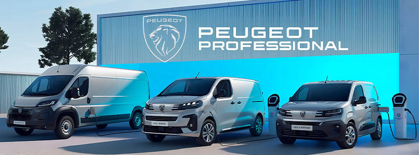 Suncar - Peugeot Professional | Lucca