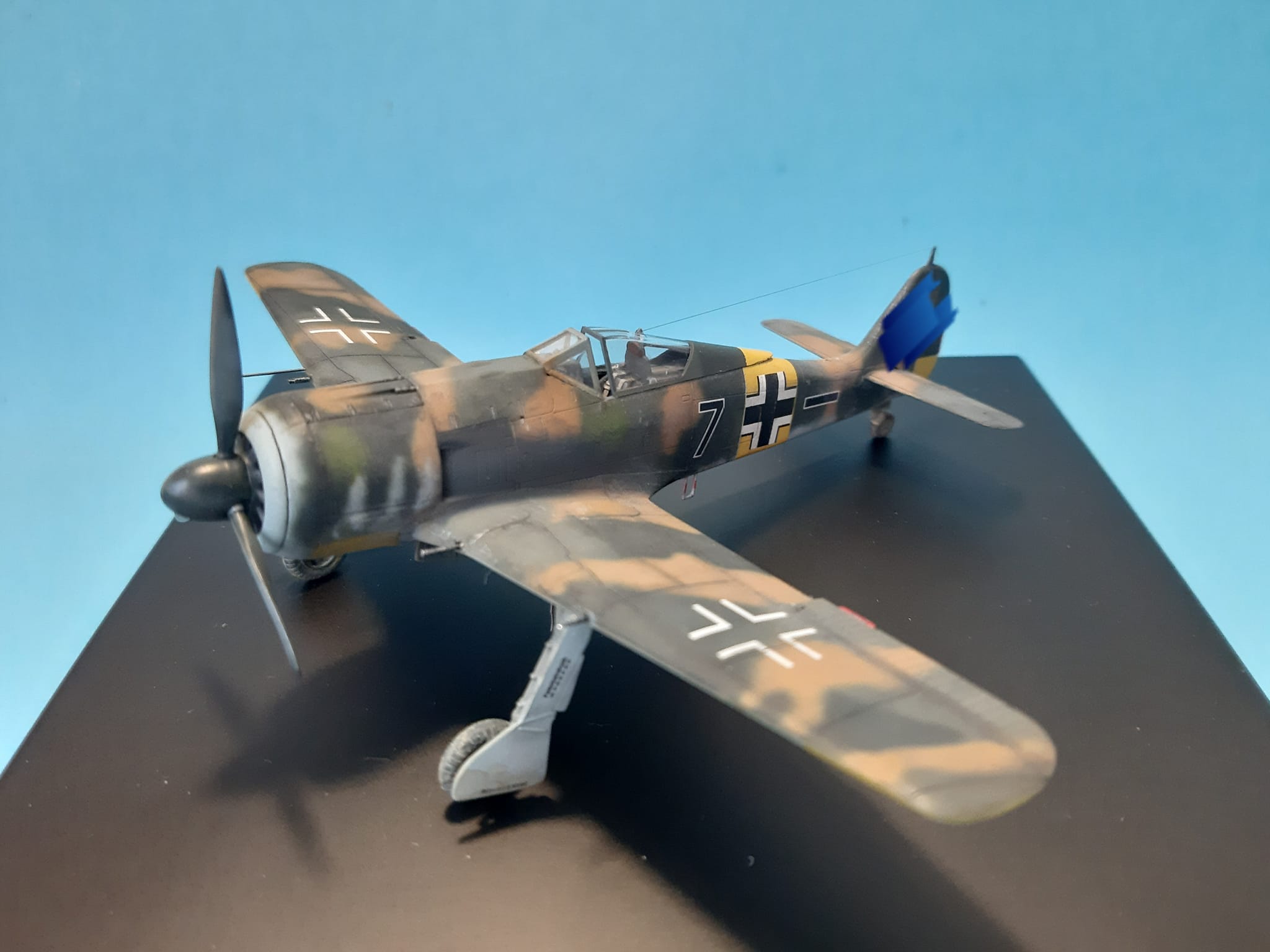 Focke-Wulf FW 190A-5, Eduard 1/72 Grünherz Limited Edition💚