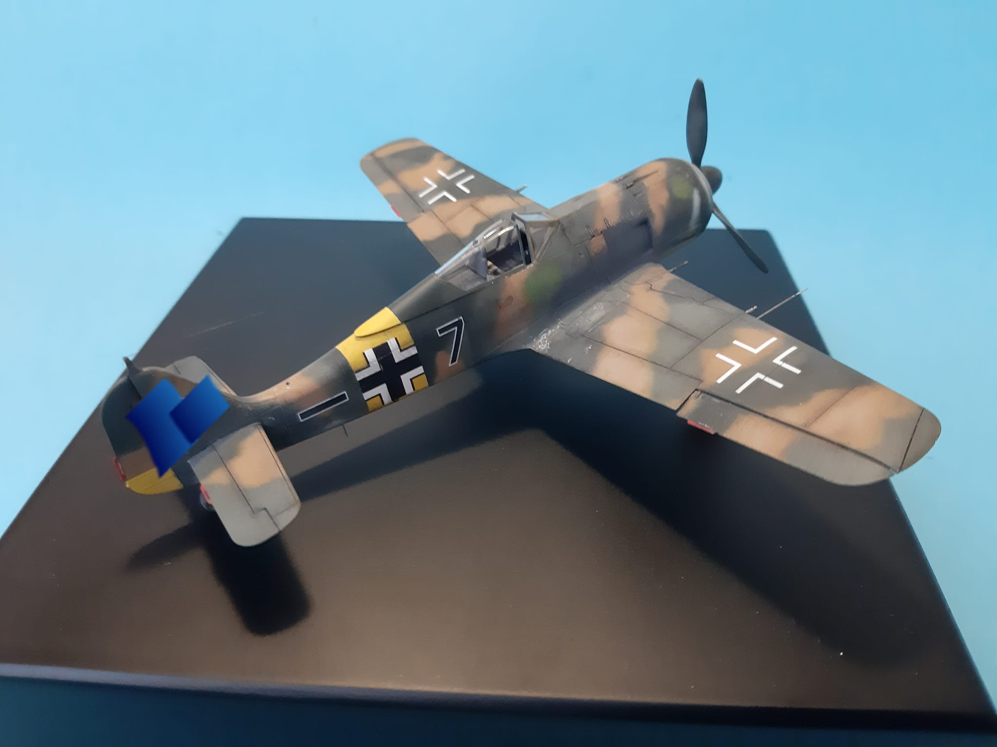 Focke-Wulf FW 190A-5, Eduard 1/72 Grünherz Limited Edition💚
