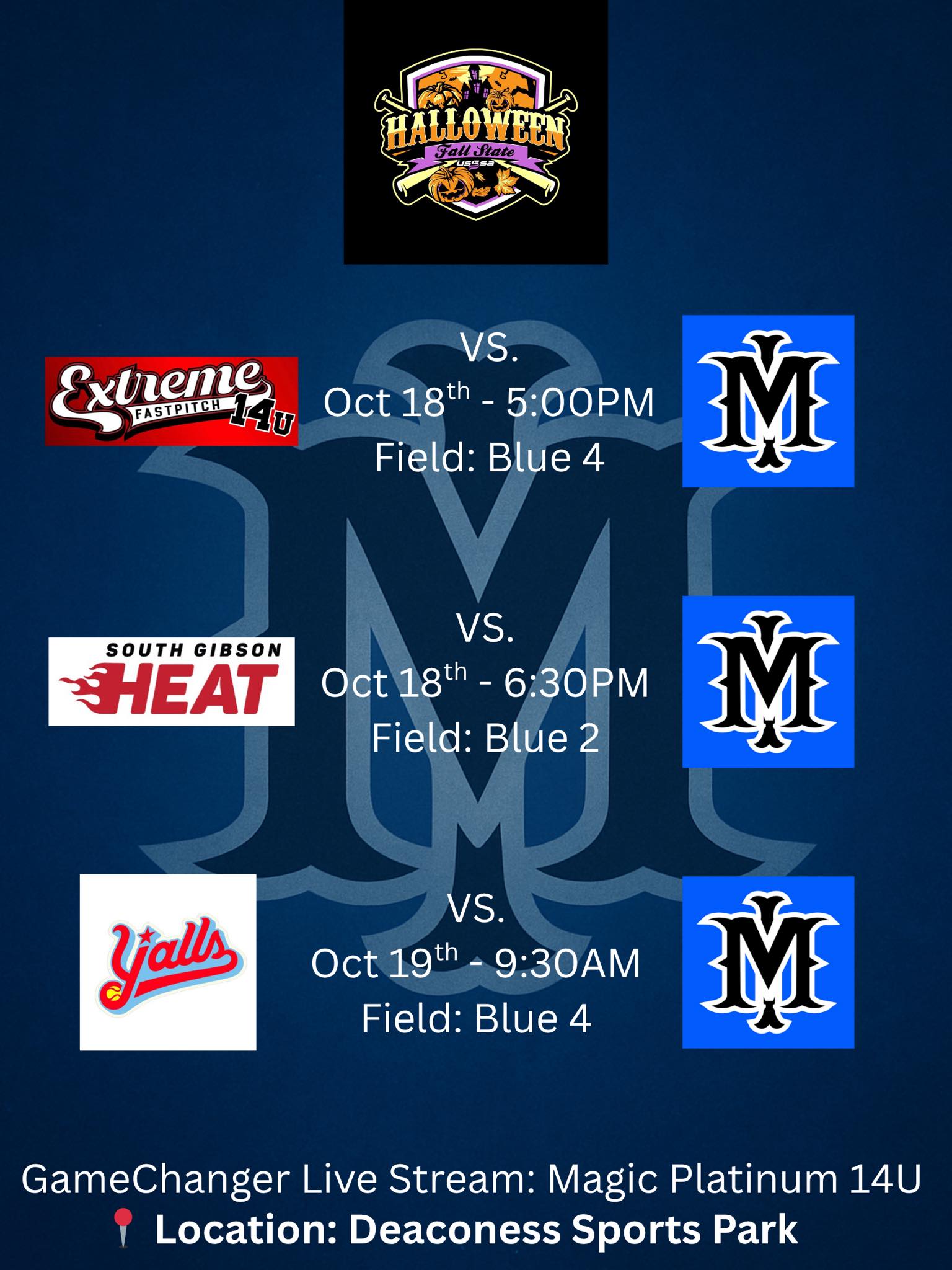 Magic Platinum 14U | Evansville IN