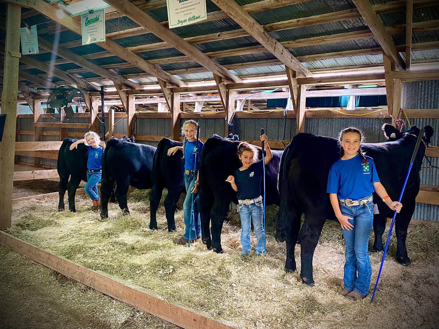 Keystone Livestock | Cookshire QC
