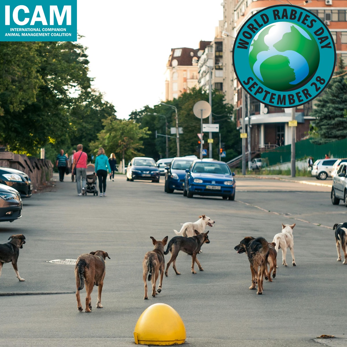 Dog-mediated human rabies is targeted for elimination by 2030. Every ...
