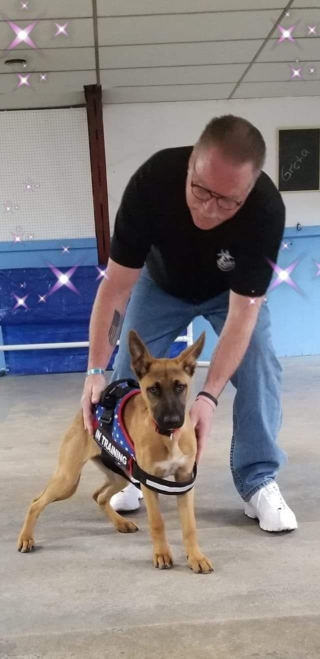 ICON K9 Obedience | Grafton WI