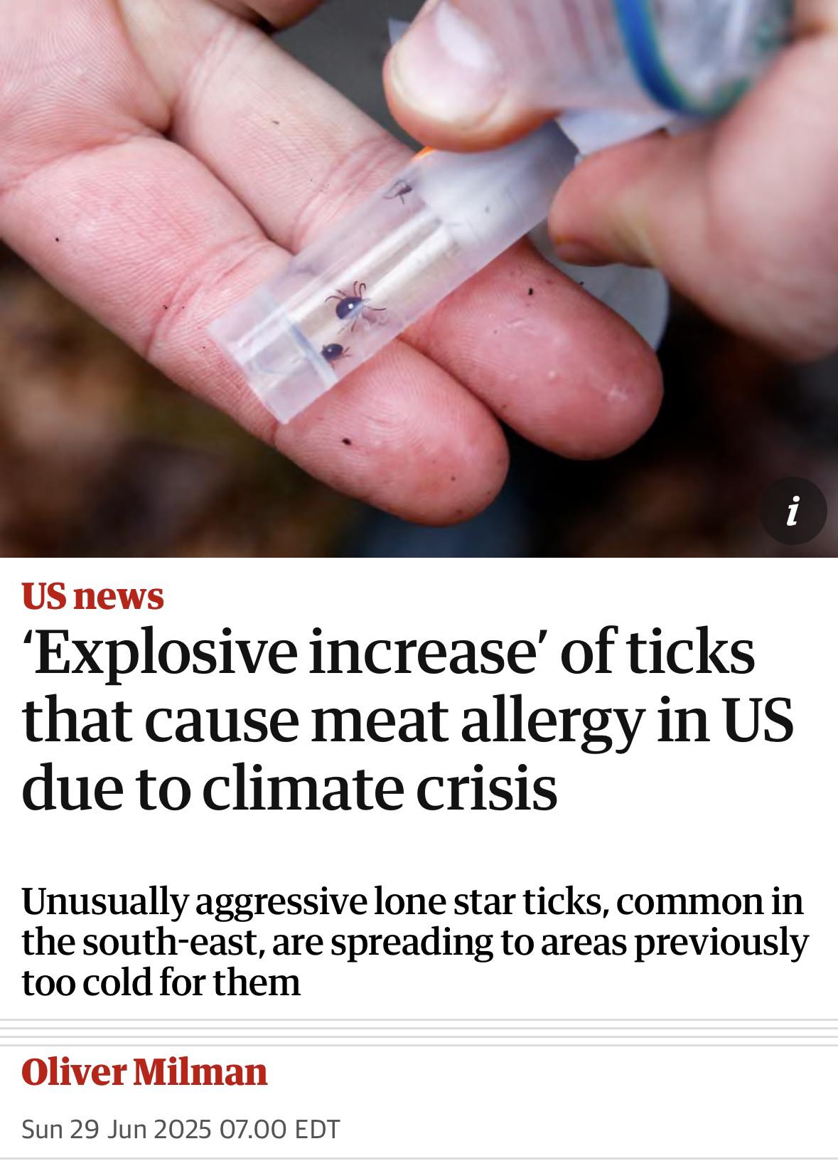 Extinction - ‘Blood-sucking ticks that trigger a bizarre allergy to ...