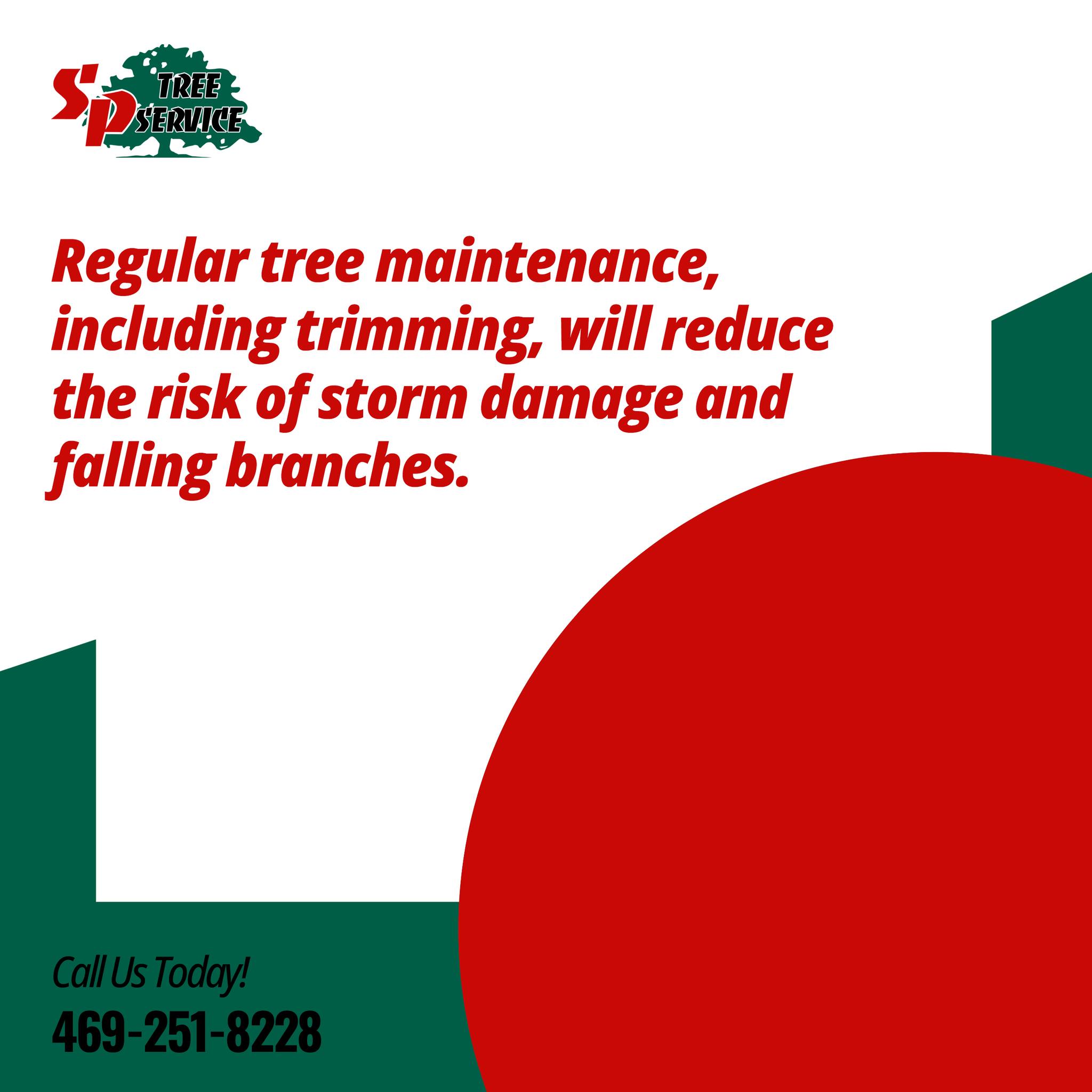 SP Tree Service - Regular tree maintenance can help reduce... | Facebook