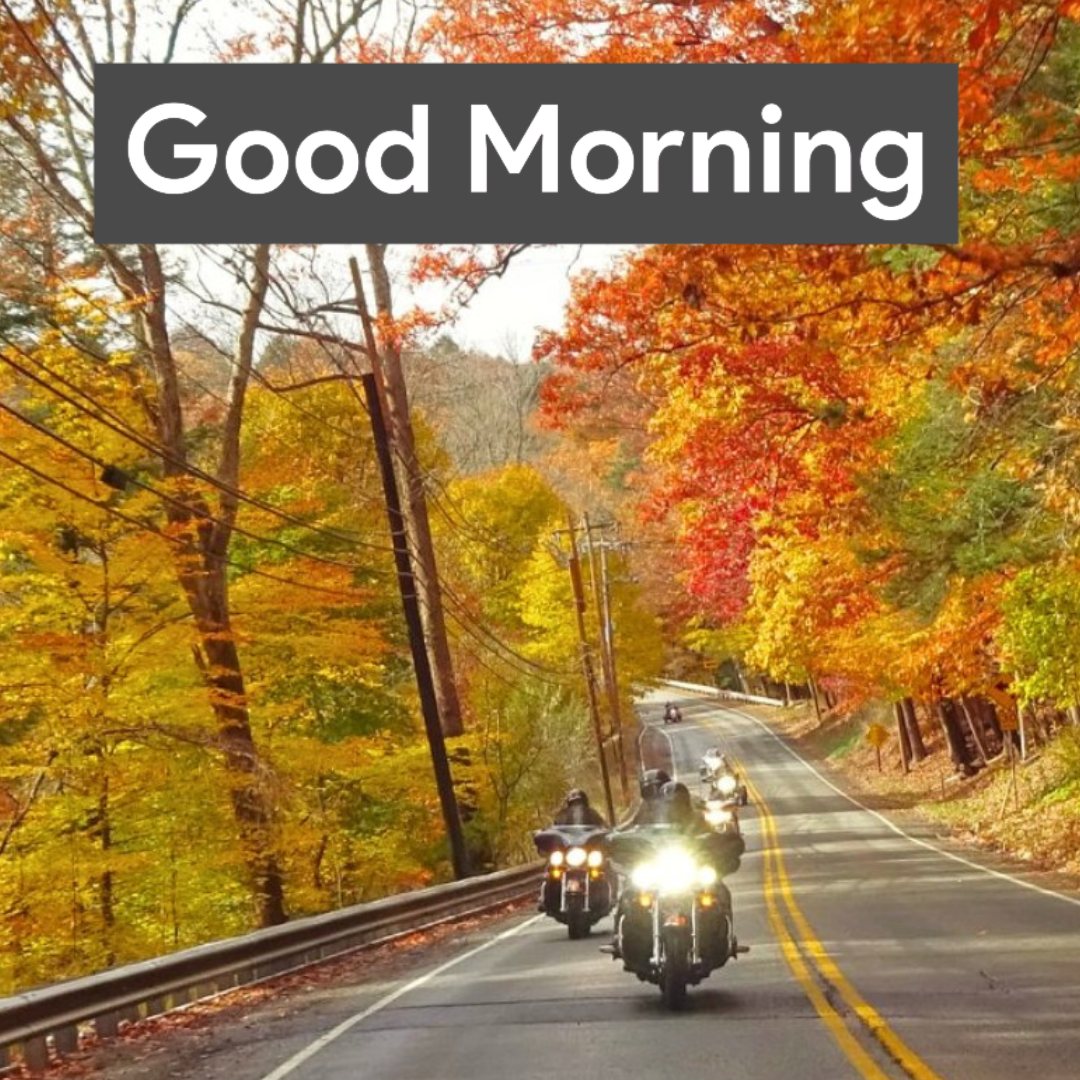 Harley - Fall colors & Harley motors.. that’s my kind of morning. 😎🛣️ ...