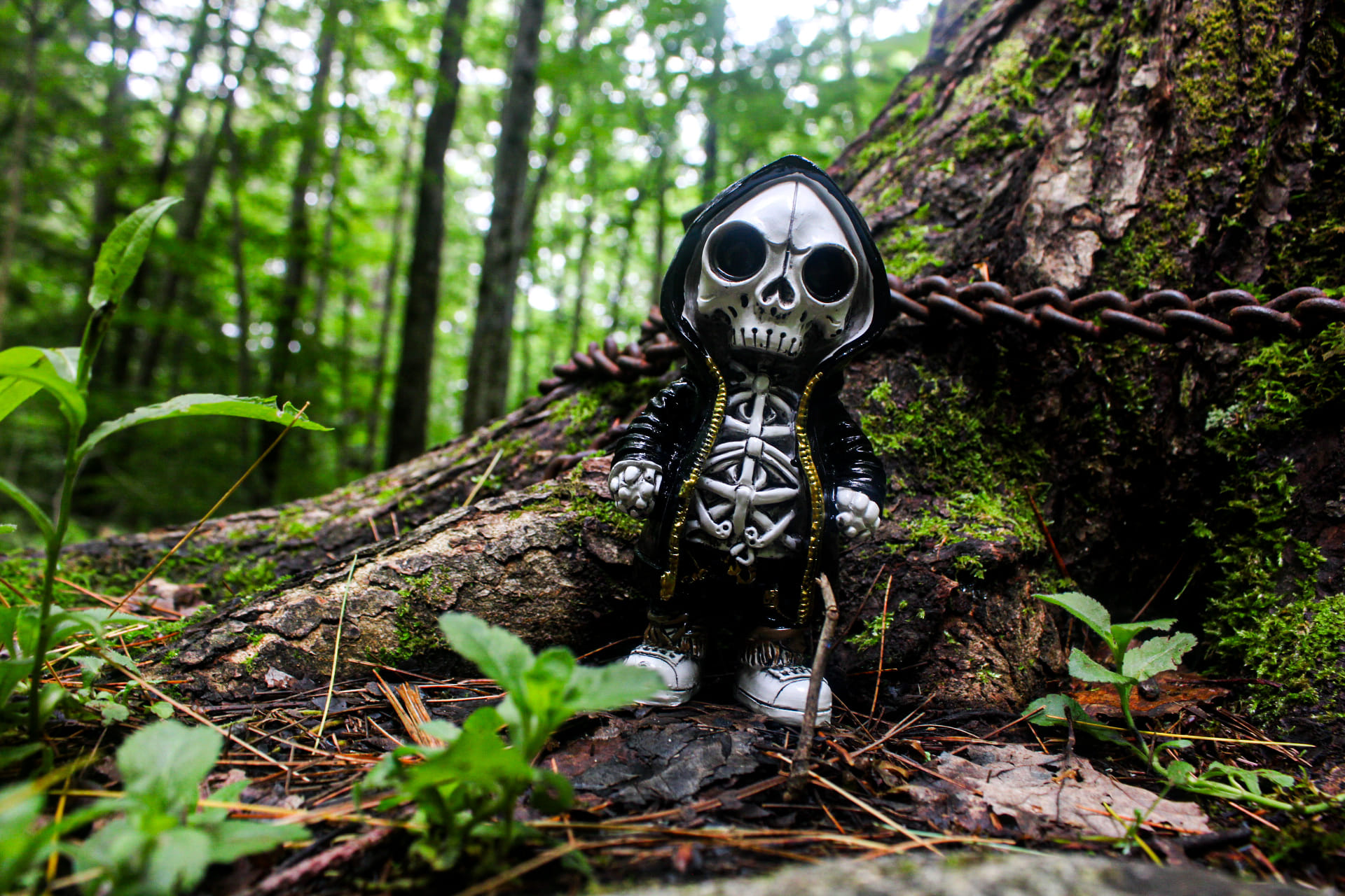 What do you think of the Adventure of Skull Boy figure?