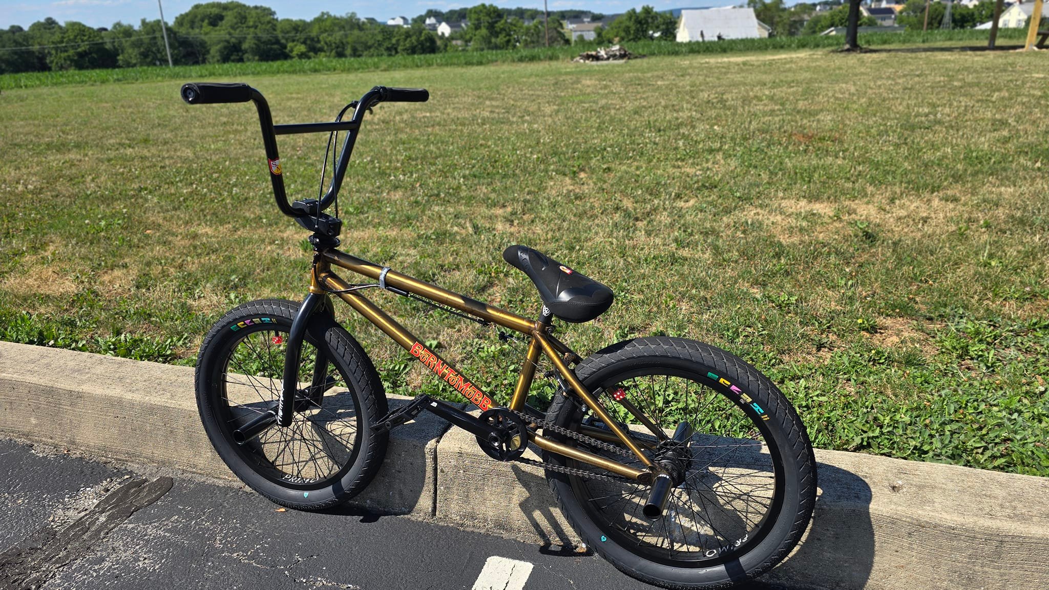 BMX bike customization with S&M Enduro stem and lever upgrades