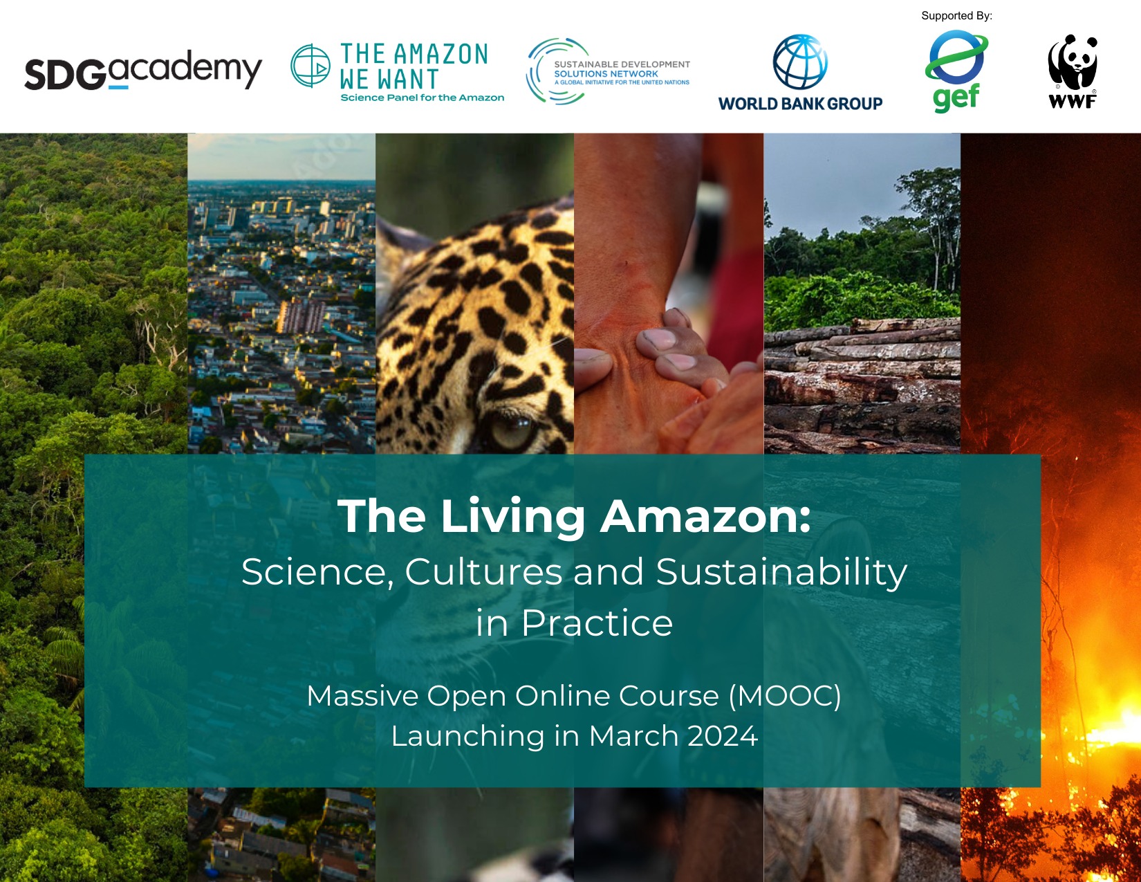 UN - 🌳 We’re excited to introduce a groundbreaking initiative created ...