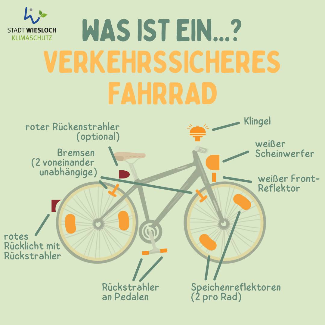ultraleicht schlafsack 4 jahreszeiten – 3-4 Mumienschlafsack, Koppelbar (Links) – MOUNTREX El Delfín Verde Resort GLUTENFREI Generation:Gen 4 (ab 2023) (Carbon)
