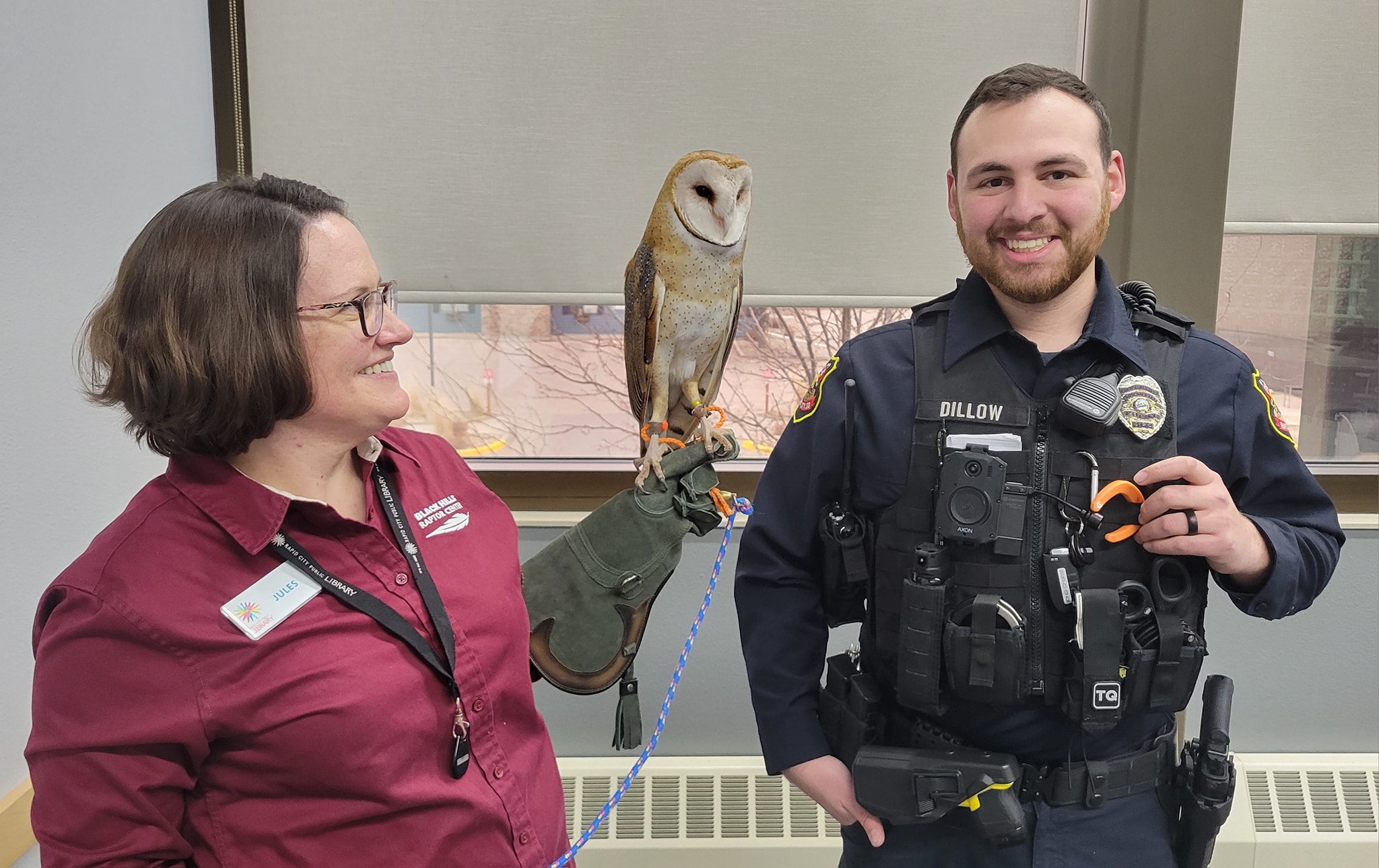 Hey, check out this Superb Owl! So, apparently there's a big