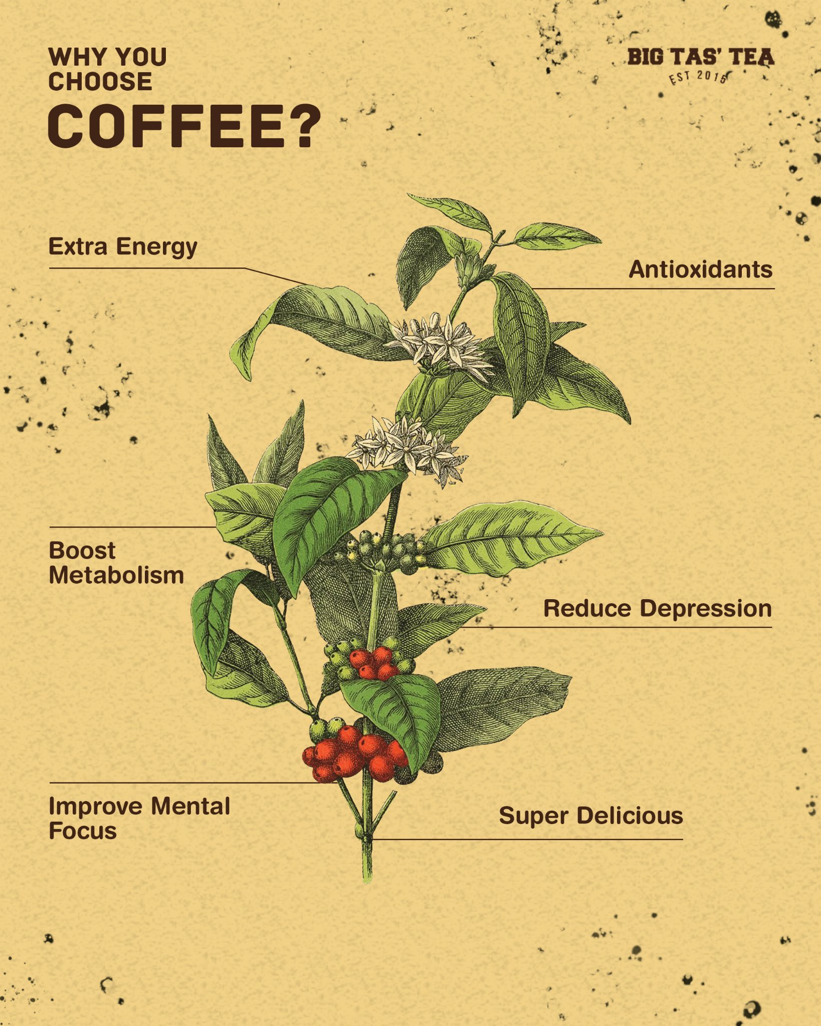 JOM NGOPI! banyak manfaat jugak ya... - Big Tas’ Tea Taiping
