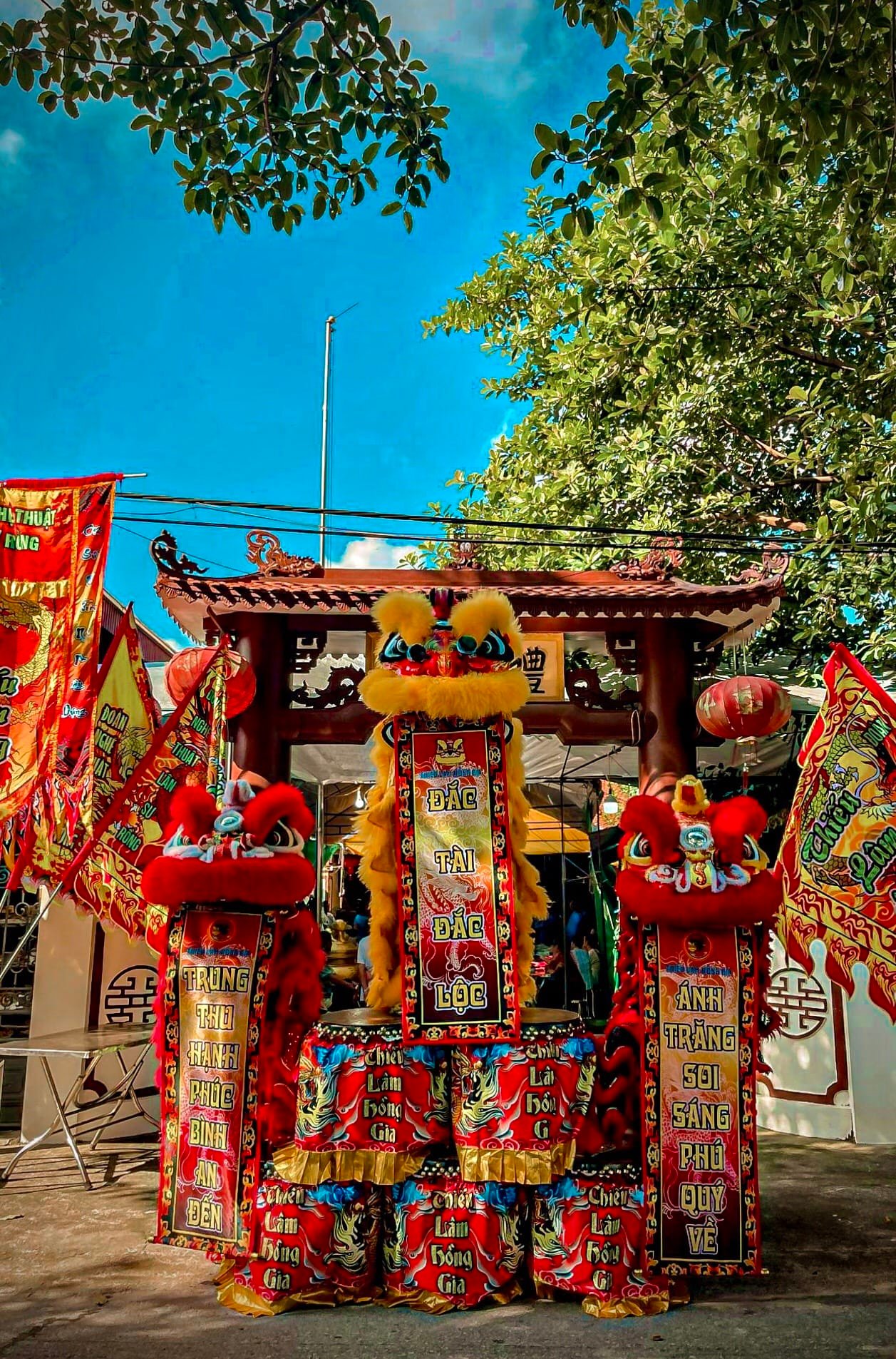 Lân sư rồng Hà Nội - Võ Trung Đường - Thiếu lâm Hồng Gia | Hanoi