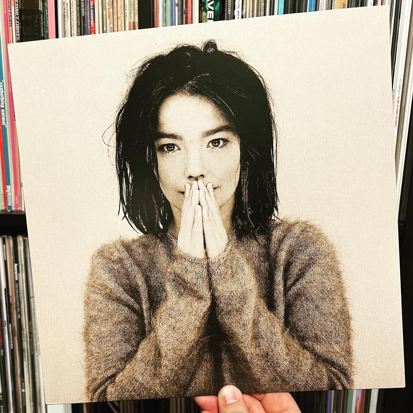 2001 Björk A Project by UK 1st Edition - 192 Page 2001 fabric