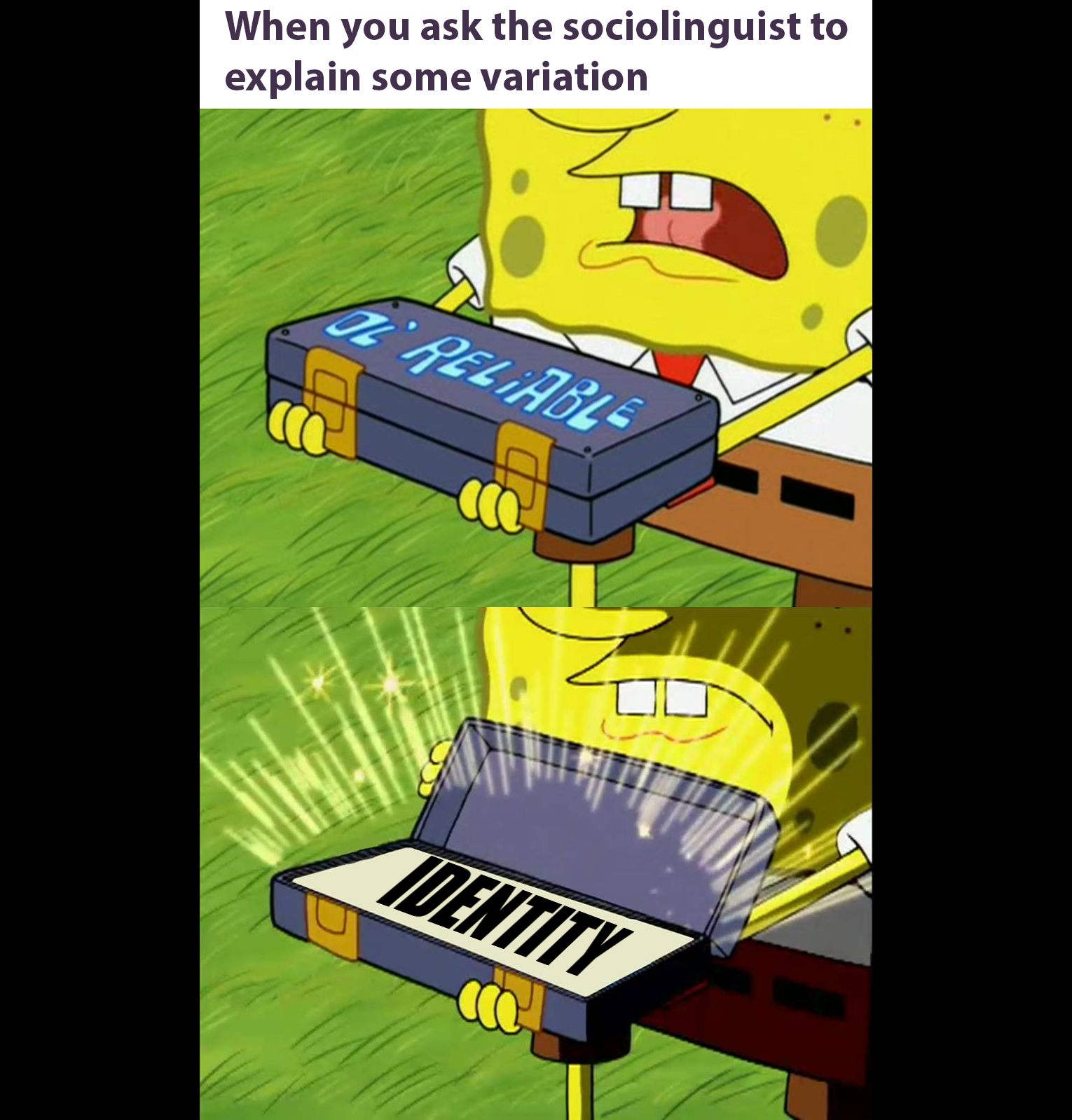 Linguistics memes students professors universities hire taught love