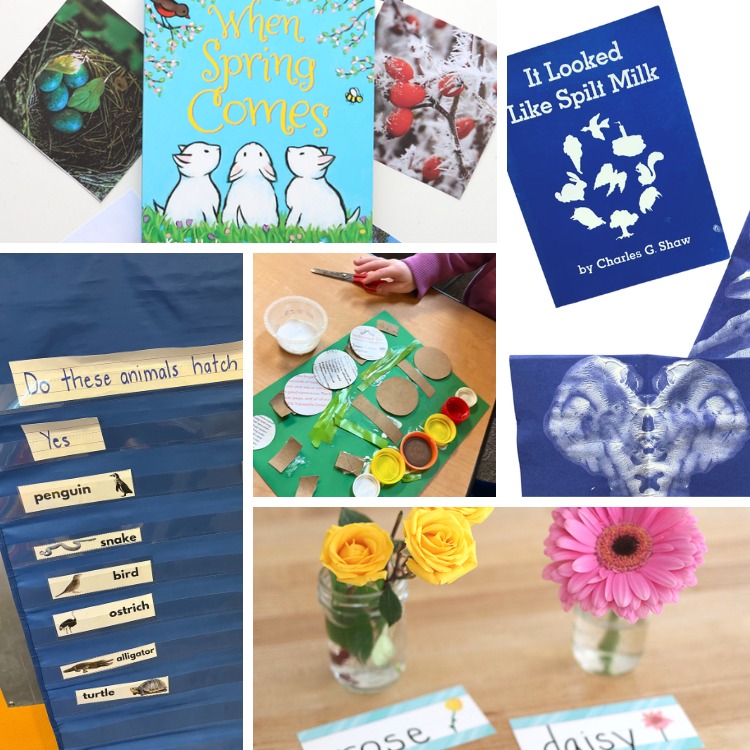 No - Spring STEM activities for preschoolers! https://www ...