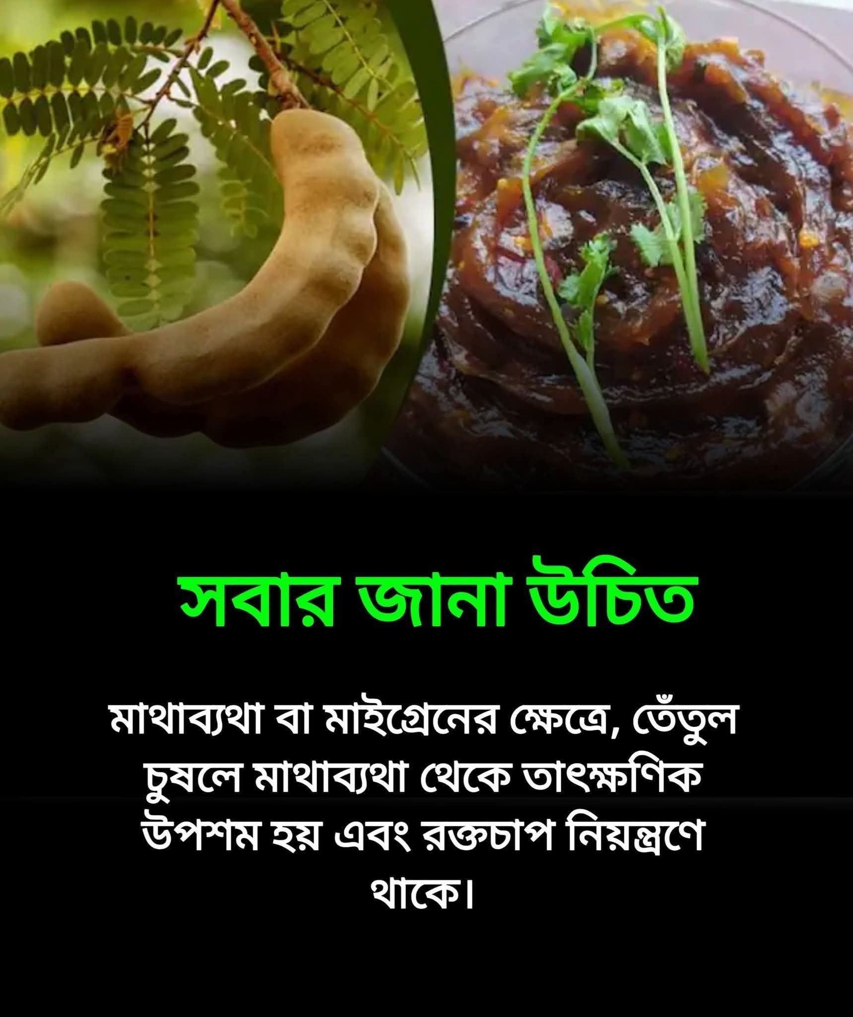 MD Masud Rana Robin