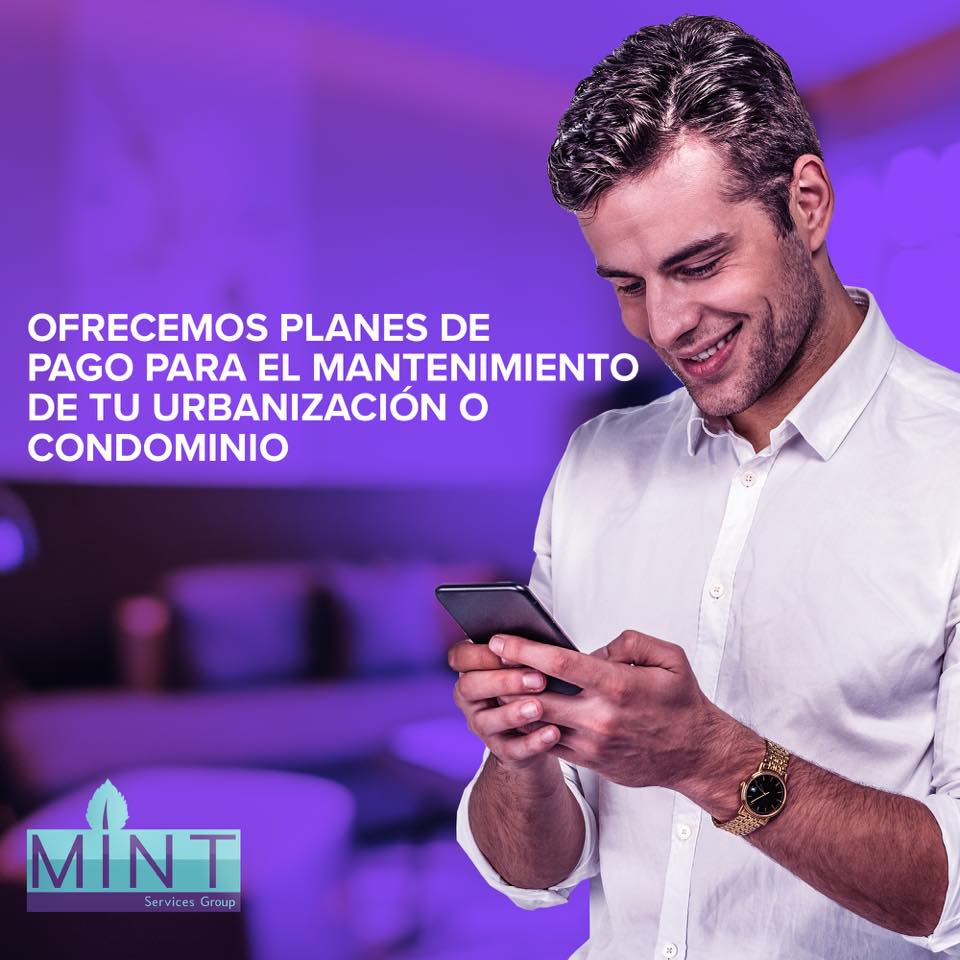 Mint Services Group