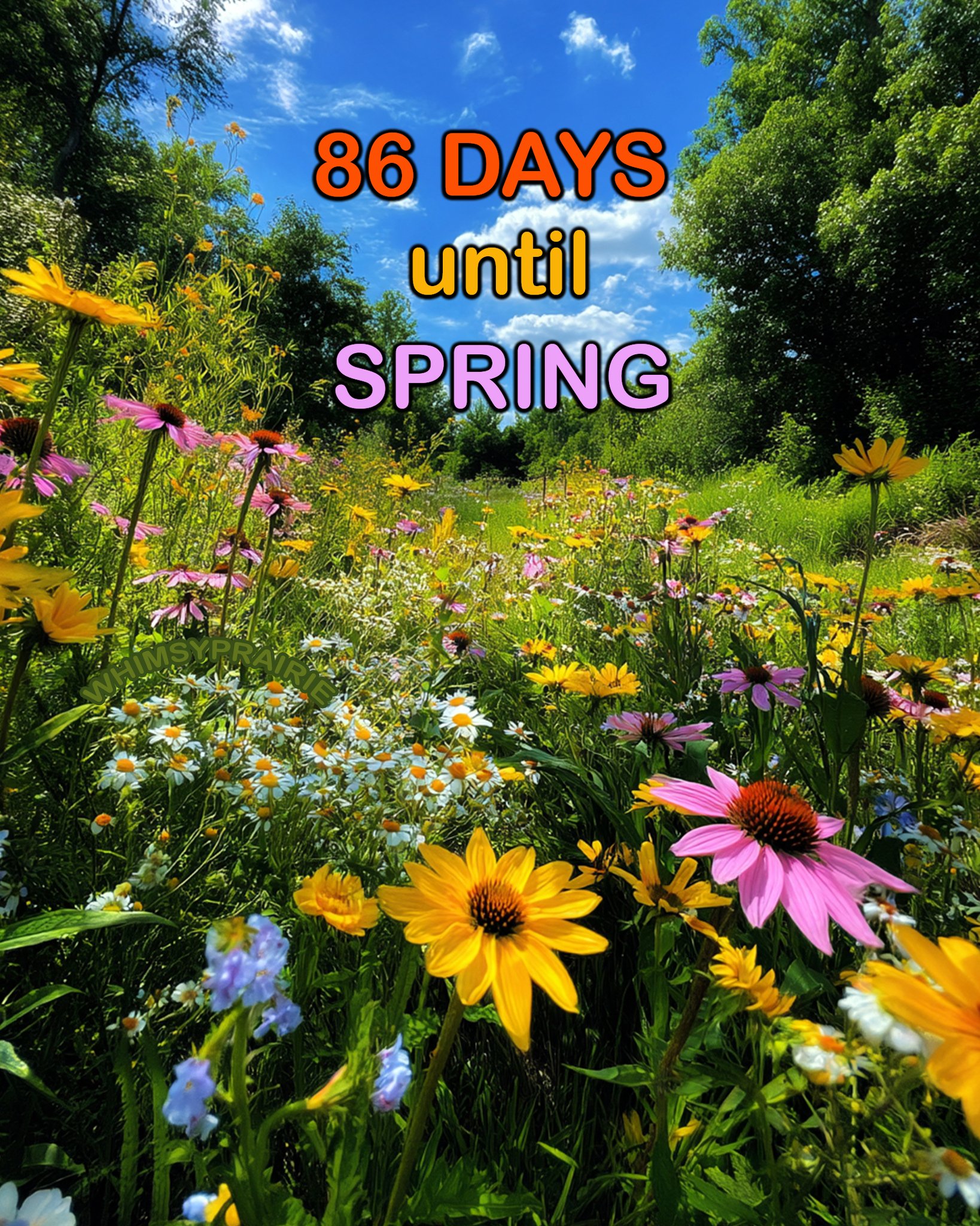 Whimsy - 86 Days...🌷👒🐦🐝 #SpringCountdown | Facebook