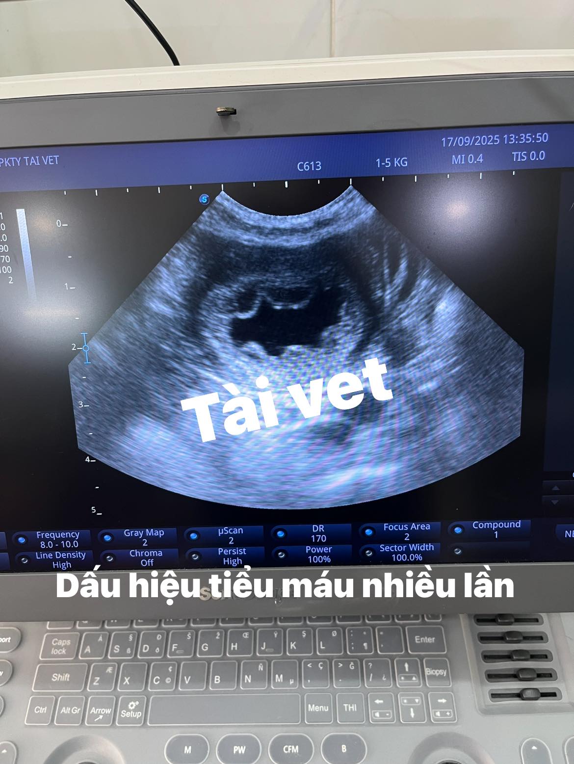 Tài Nguyên