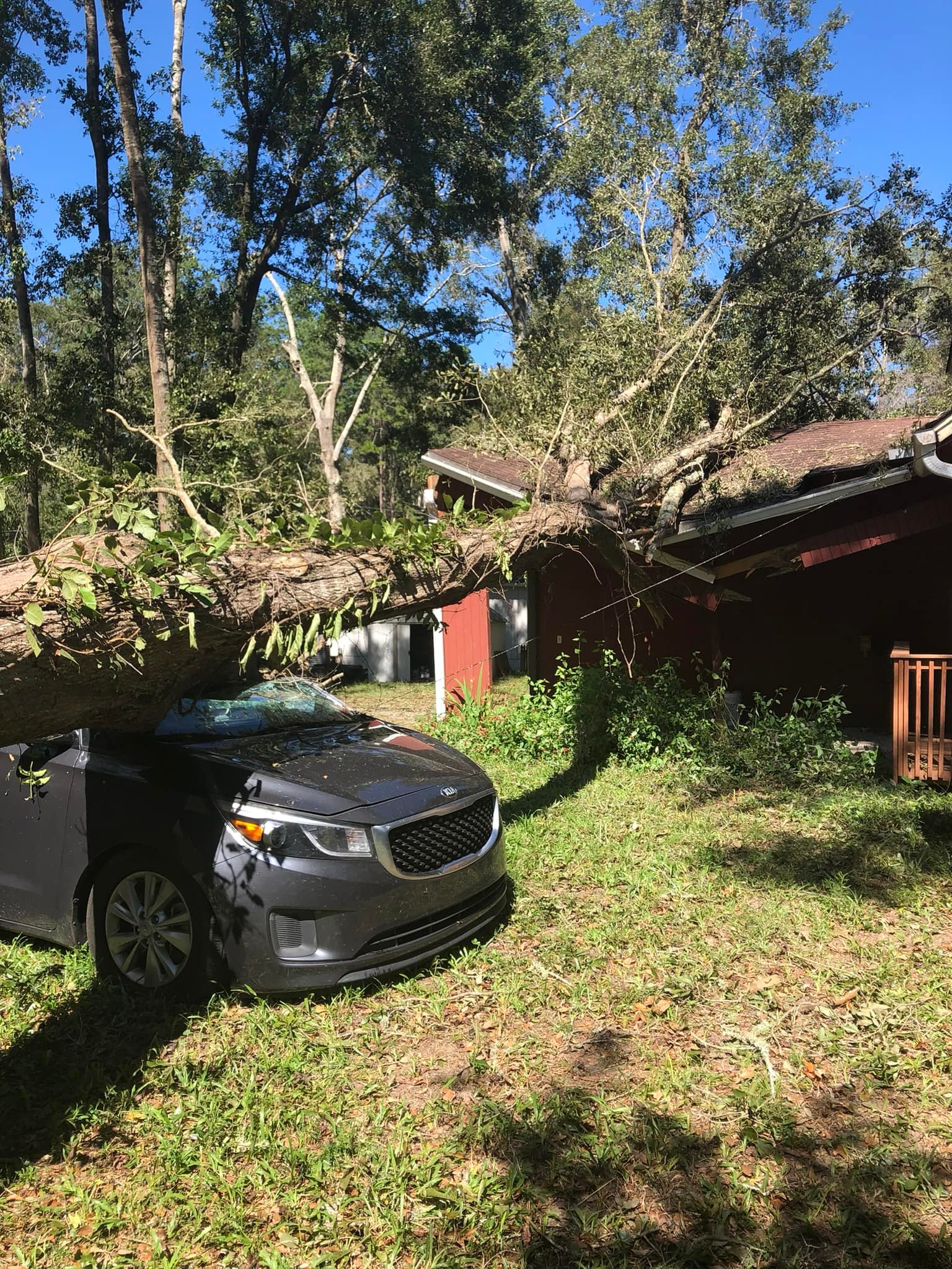 Hi-Point Tree Service