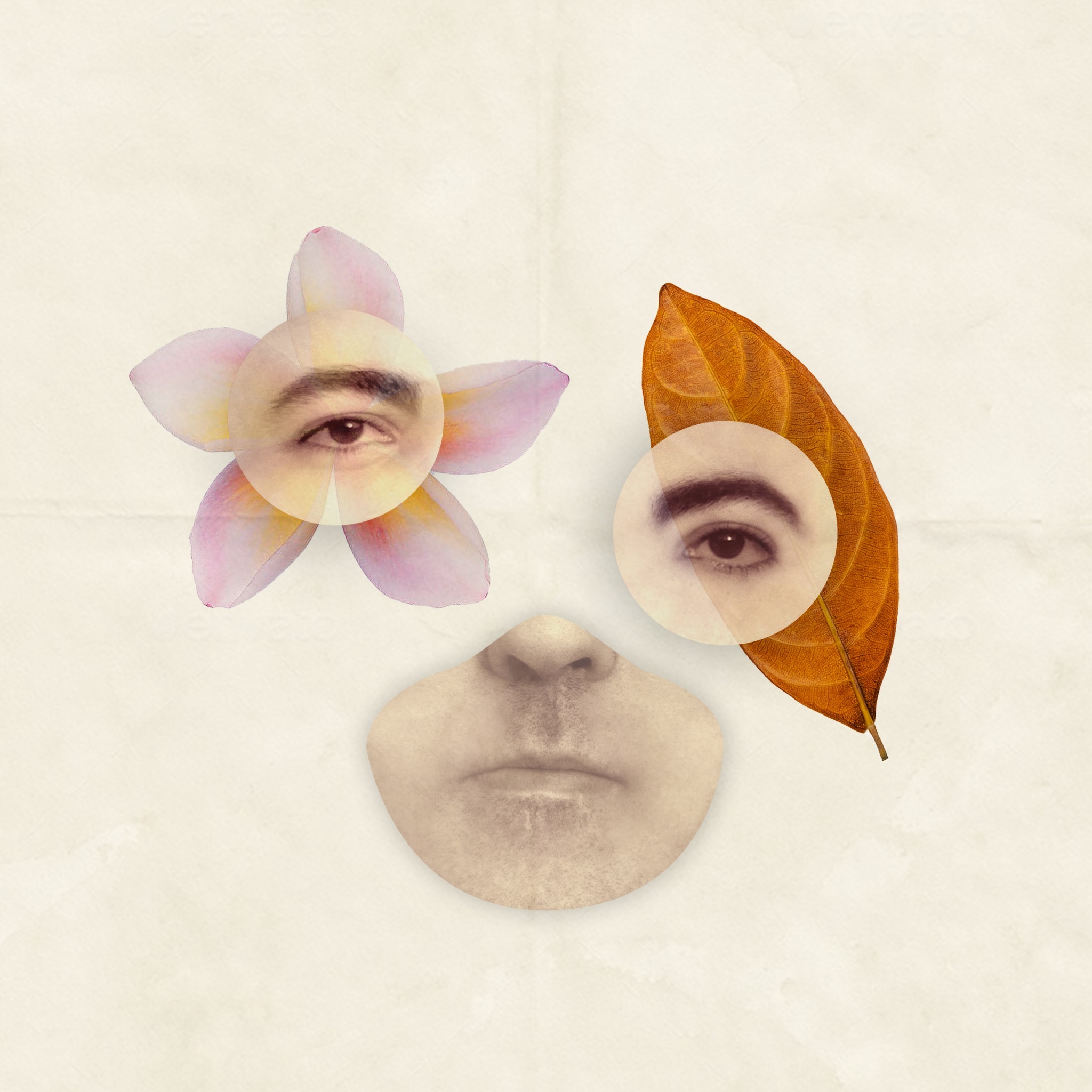 Jaimin turns “Bucket of Pain” into something strangely magnetic. There ...