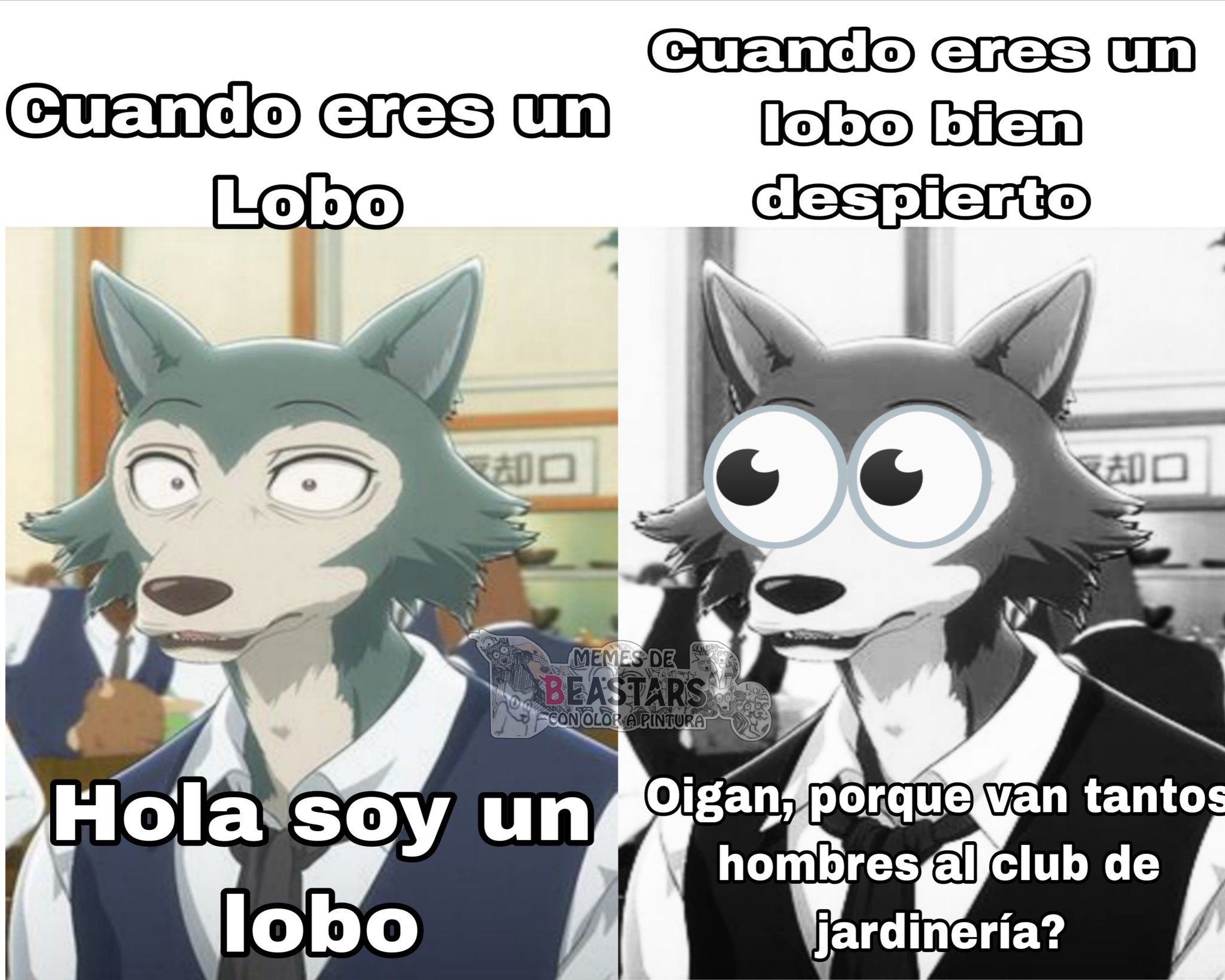 AY CAVOID 👀 Miles_ - Memes de Beastars con olor a Pintura | Facebook
