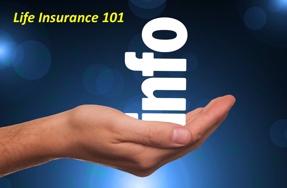 JD Van Nest & Associates Insurance Services | San Jose CA