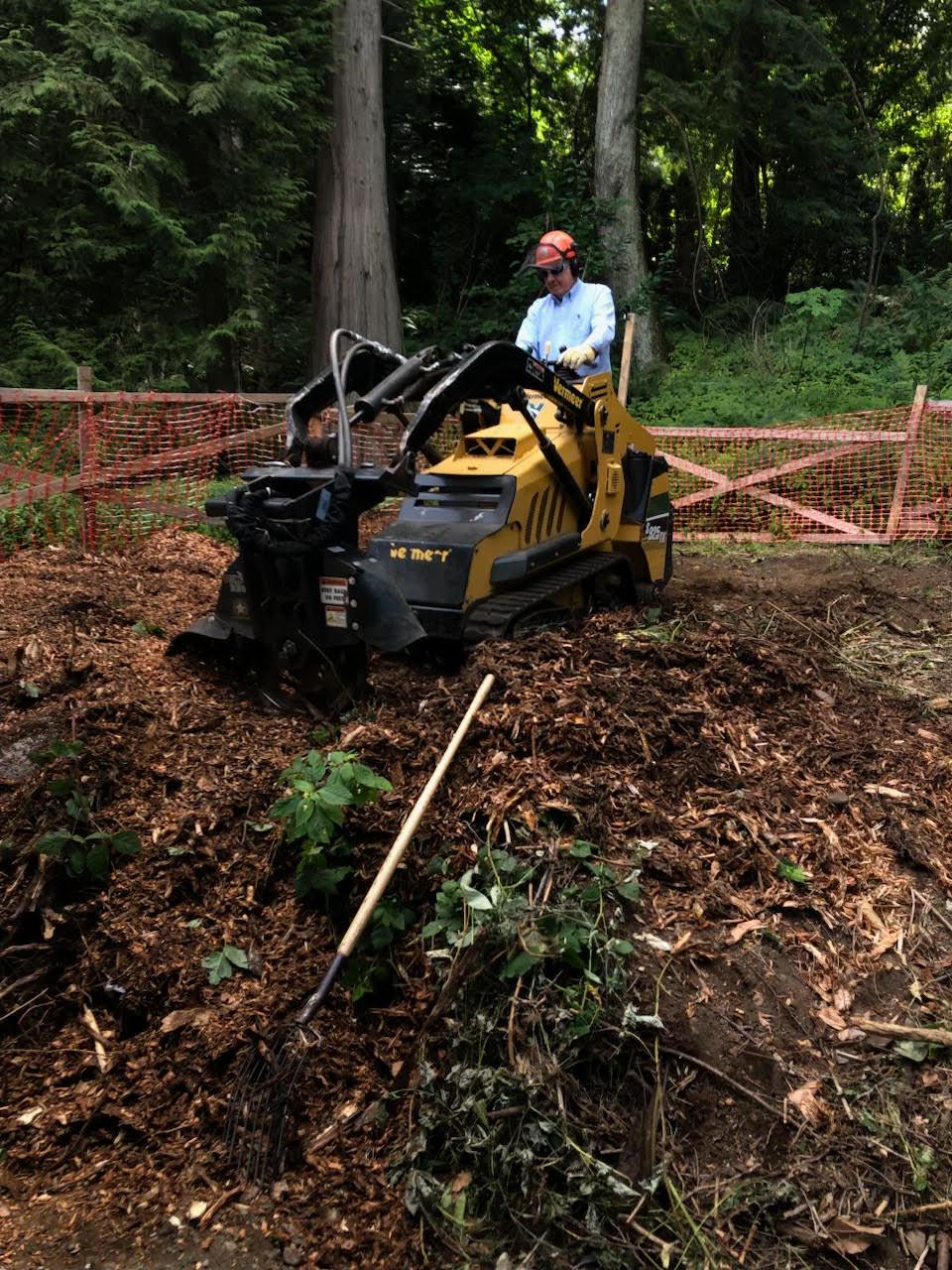 Old Stumpy, stump removal service | Langley BC